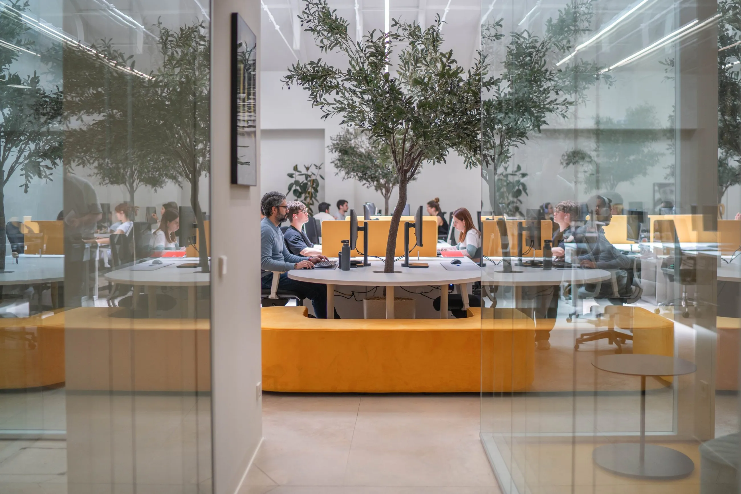 The open-plan studio seen through the glass